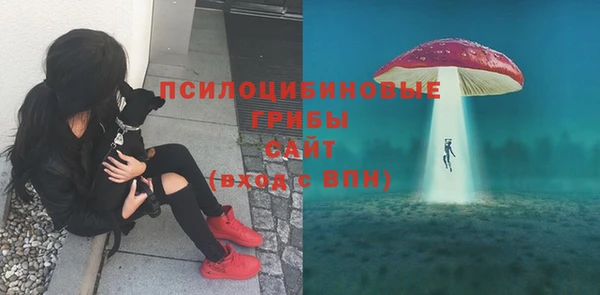 дурь Абаза