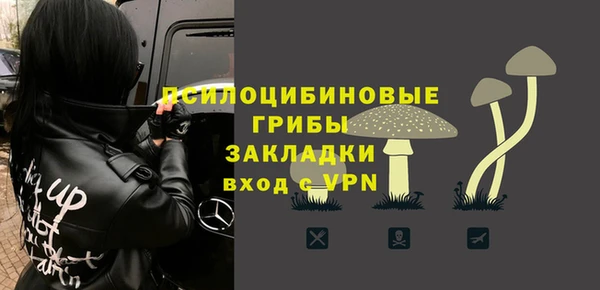 ешки Абинск