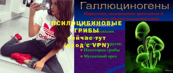 ешки Абинск