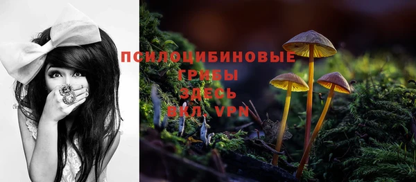 дурь Абаза