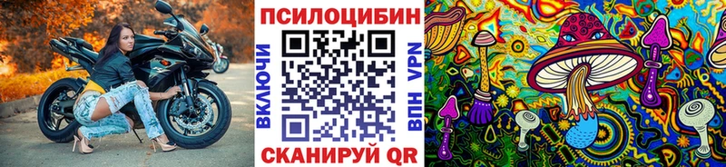 Псилоцибиновые грибы мицелий  цена наркотик  площадка наркотические препараты  Вилючинск 